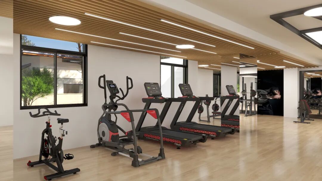Sculpt Your Sanctuary: Building the Perfect Home Gym on a Budget
