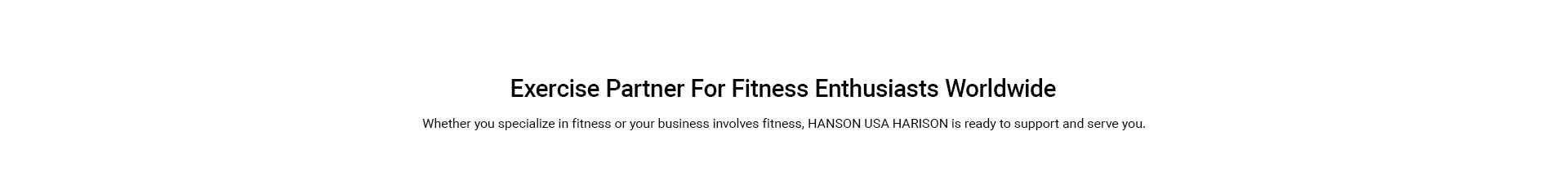 HARISON Multi-functional Handheld Massage Gun HR-319 Relieves Muscle Soreness