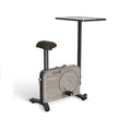 HARISON HR-B15 Magnetic Exercise Bike with Wood Grain Design（Wood Grain）