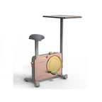 HARISON HR-B15 Magnetic Exercise Bike with Rose Gold Design（Rose Gold）