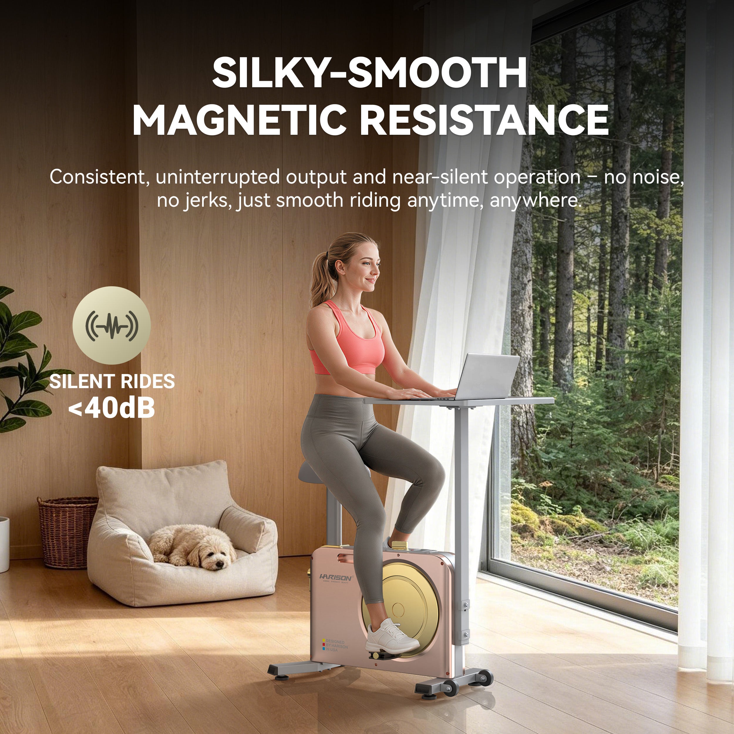 Muti-functional Magnetic Exercise Bike HR-B15 Eco（Rose Gold）