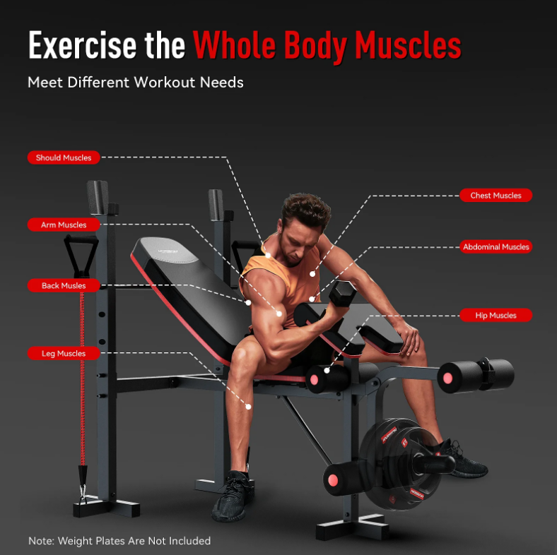 HARISON HR-30813 6 in 1 Weight Bench Set with Preacher Curl & Leg Extension, 660LBS Capacity Adjustable Workout Bench Press Rack, 4-Position Backrest, Resistance Bands & Chain Included