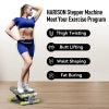 HARISON HR-349 Mini Steppers for Exercise, Stair Stepper with LCD Monitor 300LBS Capacity, Portable Under Desk Stepper for Home Workout